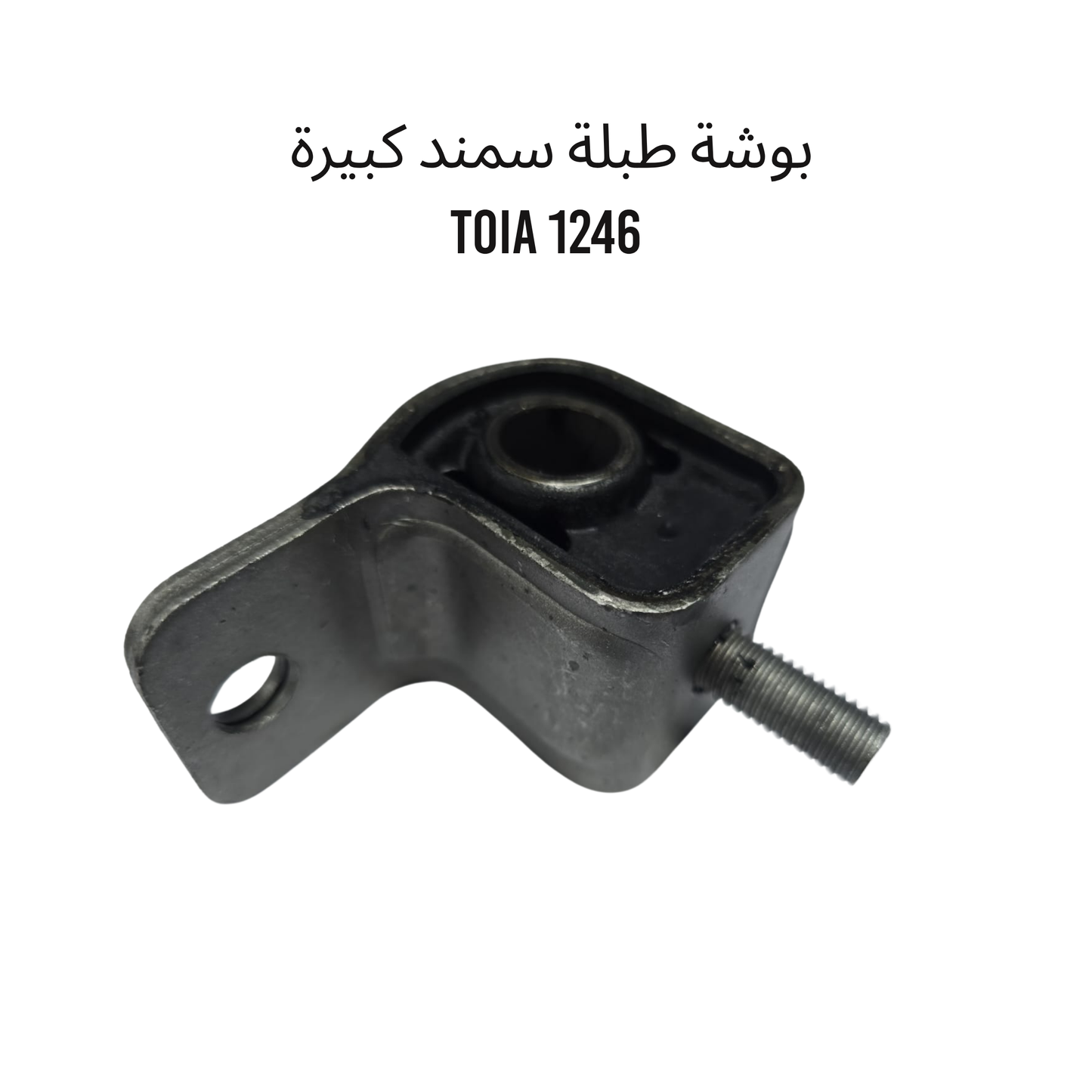بوشة طبلة سمند كبيرة    TOIA 1246