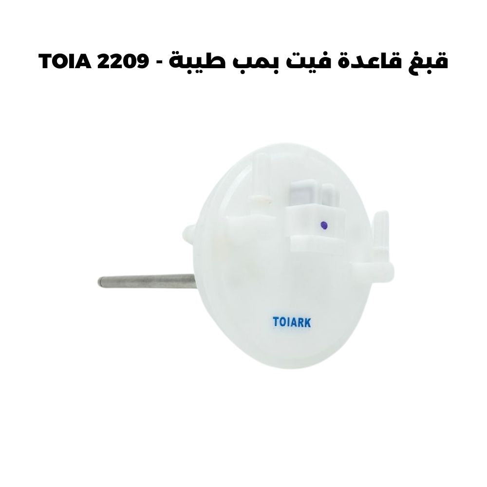 قبغ قاعدة فيت بمب طيبة - TOIA 2209