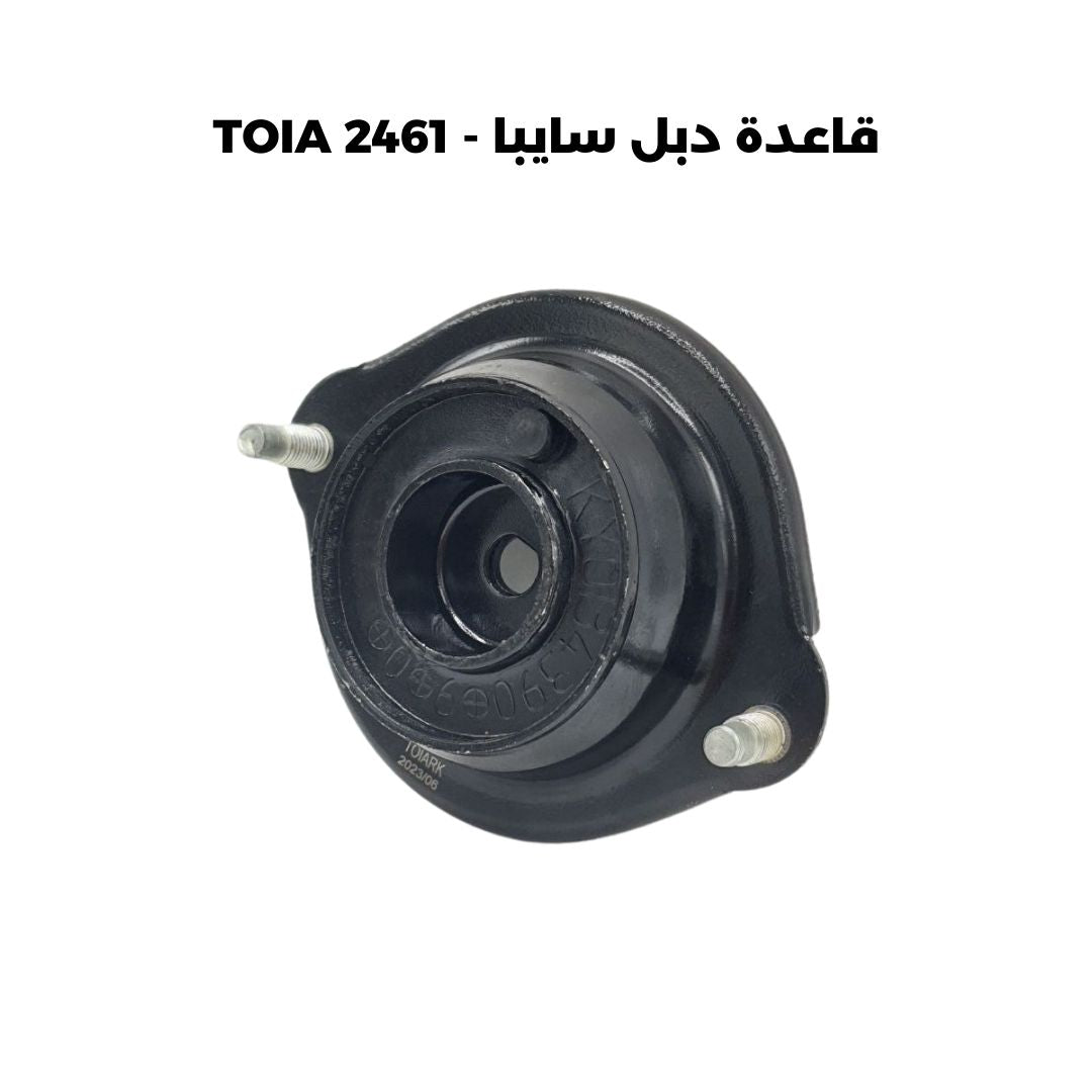 قاعدة دبل سايبا - TOIA 2461