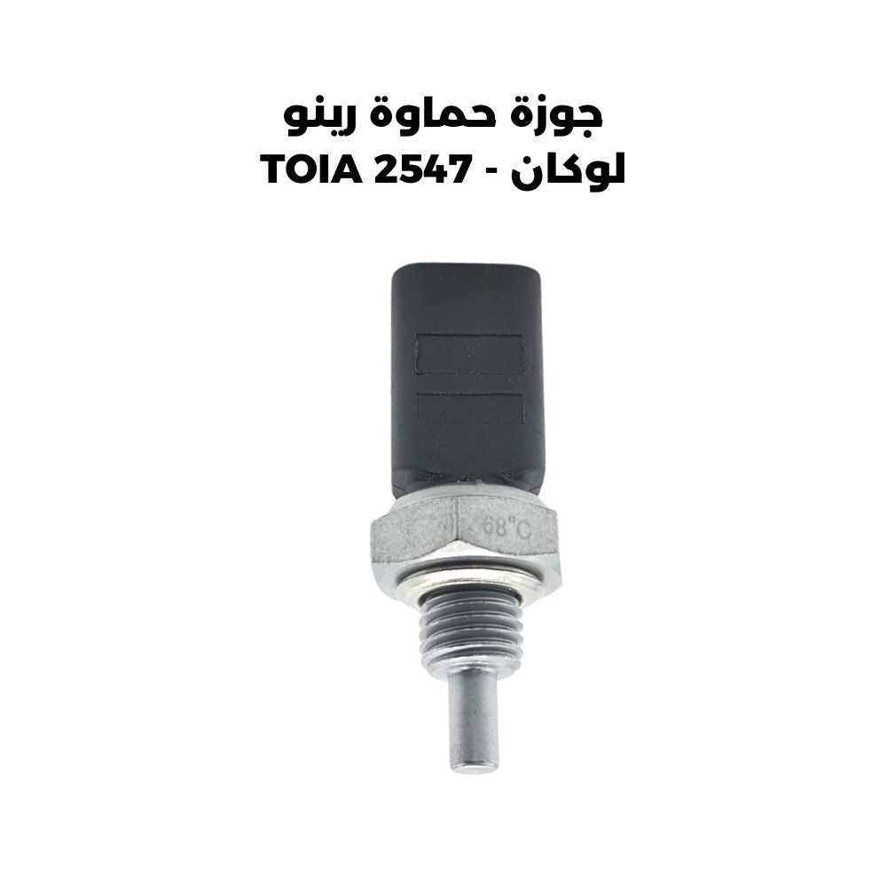 جوزة حماوة رينو لوكان - TOIA 2547